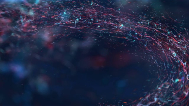 水下生物