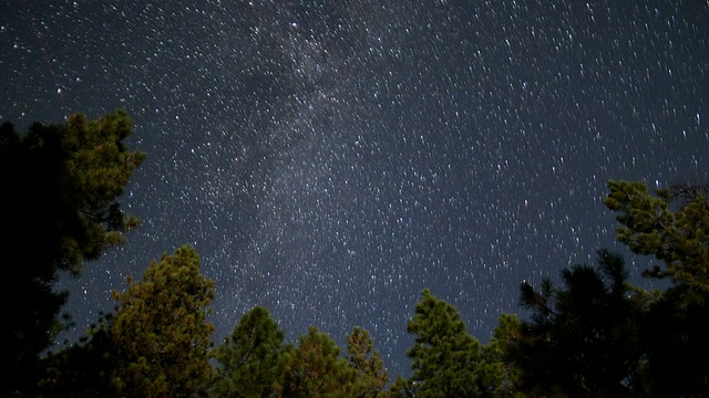 星星的时间在松树上流逝