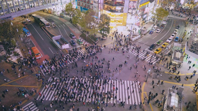 东京涩谷市行人交通