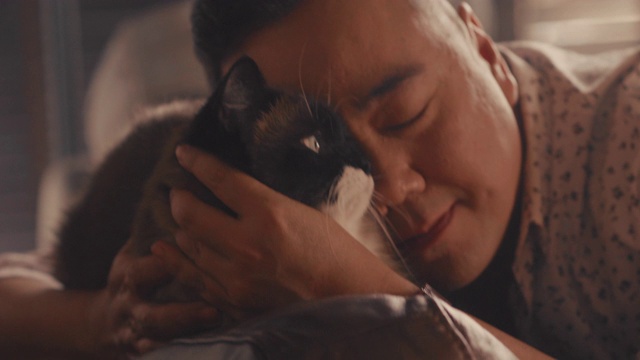 我可爱的猫