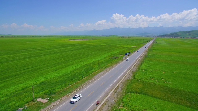 鸟瞰一望无际的绿色麦田里的道路