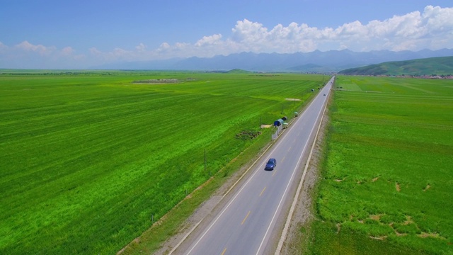 詳情圖-鳥瞰一望無際的綠色麥田里的道路