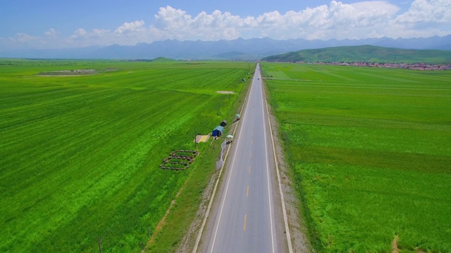 詳情圖-鳥瞰一望無際的綠色麥田里的道路