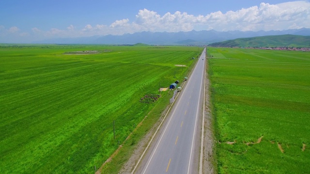 詳情圖-鳥瞰一望無際的綠色麥田里的道路