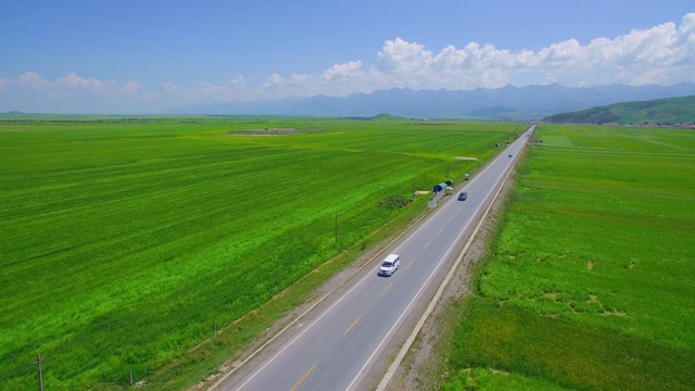 詳情圖-鳥瞰一望無際的綠色麥田里的道路