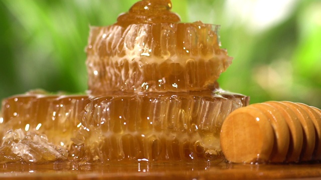 蜂蜜在蜂巢上缓慢流动
