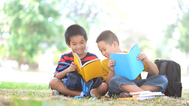 回归学校和教育理念。两个小学男孩一起读书和做作业。