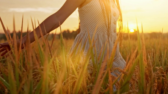 詳情圖-性感的年輕女人在白色的裙子享受在美麗的夏天日落紫羅蘭薰衣草filed。年輕的女性享受自然和陽光在秸稈田。