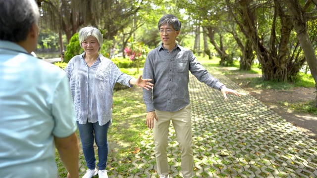 活跃的老年人练习太极