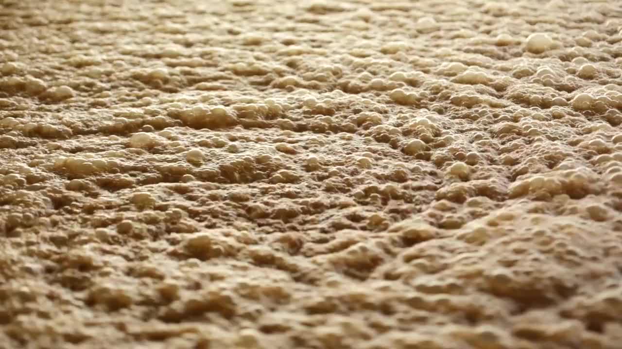 糖蜜发酵
