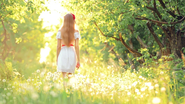 年輕女子在夏天穿過草地。女孩在長滿蒲公英的草坪上走著。后視圖。