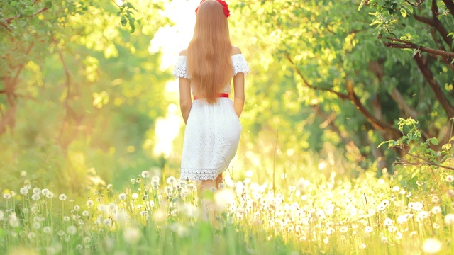 詳情圖-年輕女子在夏天穿過草地。女孩在長滿蒲公英的草坪上走著。后視圖。
