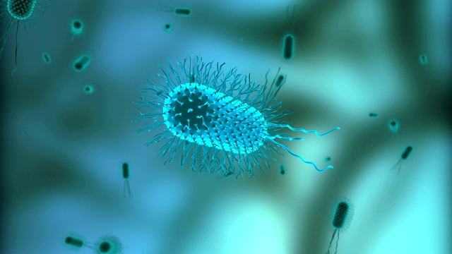 在显微镜下漂浮的大肠杆菌细胞或细菌或病毒