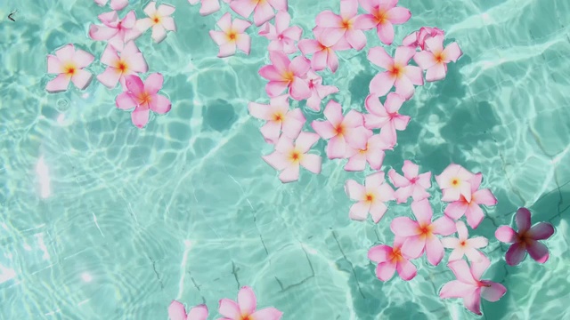 詳情圖-雞蛋花漂浮在碧藍(lán)的水面上，有拷貝的空間。