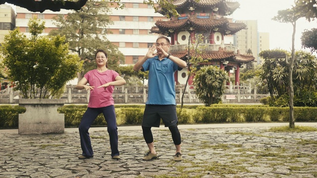 两个活跃的中国老年人在公园里打太极