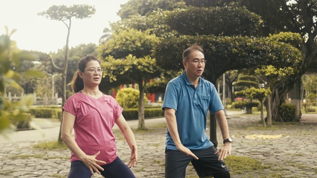 两个活跃的台湾老年人在公园里打太极
