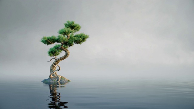 孤独的小树倒影在水中，荡漾着波浪。平静放松海浪水面寂寞概念。循环动画。