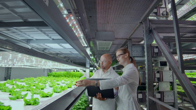 现代科学家在现代素食产品生产中从事基因工程。现代化农场用于蔬菜的自动化生产。