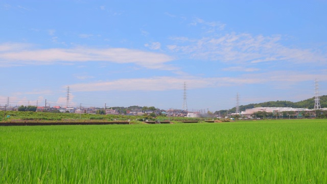 横滨郊区的风景