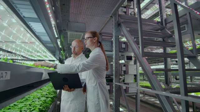 微生物学家男人和女人在水培生产白大褂，一个男人拿着笔记本电脑，一个女人用手触摸植物，讨论研究结果，一个男人爬上楼梯。