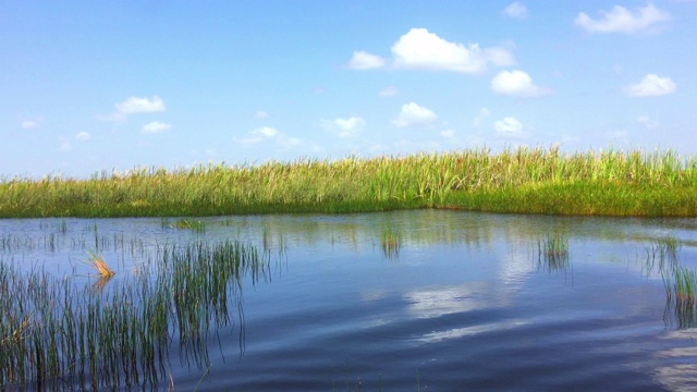 詳情圖-埃弗格萊茲國家公園，自然之美