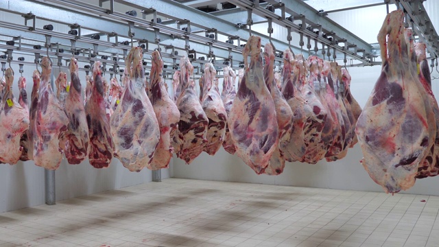 肉类切割和加工工厂，监督和专家工程师控制。