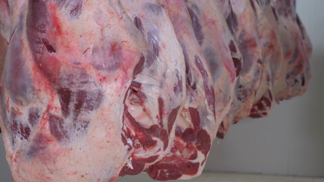 肉类切割和加工工厂，监督和专家工程师控制。