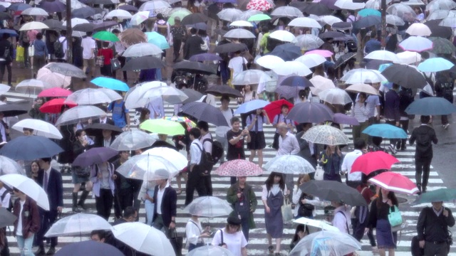 东京涉谷十字路口的雨天
