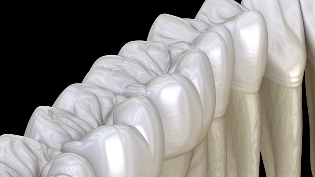 下颌牙齿，宏观视图。医学上准确的牙齿3D动画。