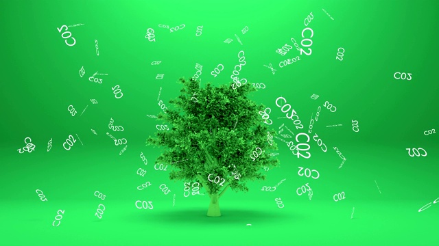 树木吸收二氧化碳或树木吸收二氧化碳
