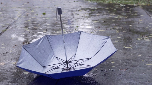 在雨季，雨点不断地落在伞上