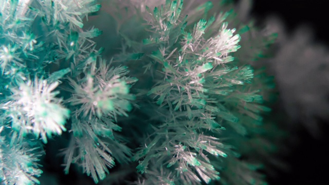 详情图-冰晶生长时间流逝