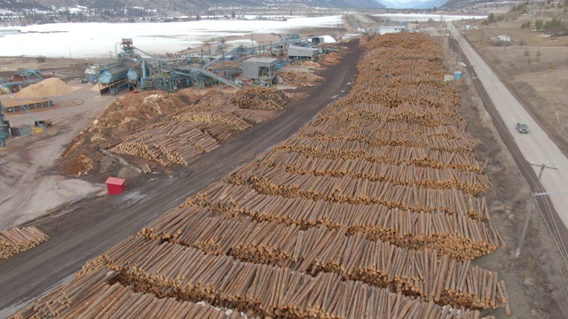 航拍:在乡村公路附近的锯木厂旁的原木堆上飞行