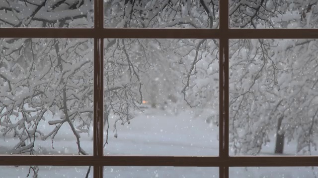 圣诞场景。美丽的冬季景观与飘落的雪。4 k股票视频