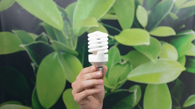 手持LED灯泡与照明的绿色自然背景。环保节能理念。世界环境日。认为绿色。本空间