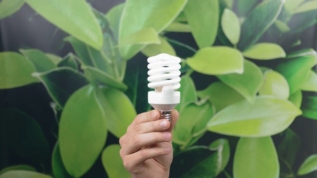 详情图-手持LED灯泡与照明的绿色自然背景。环保节能理念。世界环境日。认为绿色。本空间