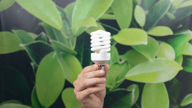 详情图-手持LED灯泡与照明的绿色自然背景。环保节能理念。世界环境日。认为绿色。本空间