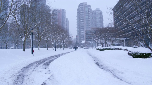 暴风雪期间的城市道路