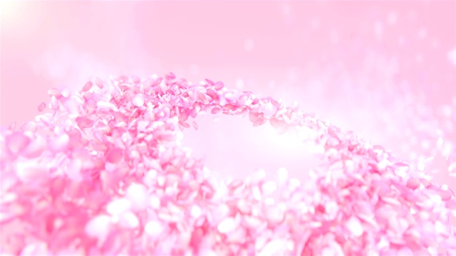 粉红色玫瑰花瓣流动背景在4K