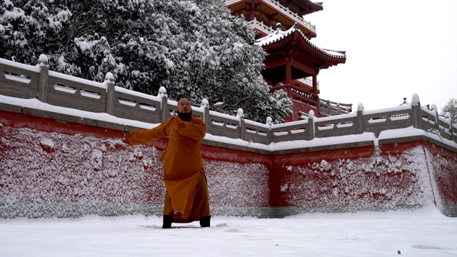 中国少林寺功夫武僧
