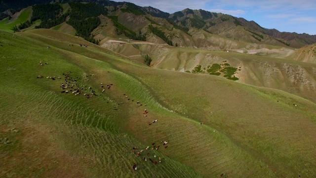 详情图-中国新疆天山丹霞地貌鸟瞰图