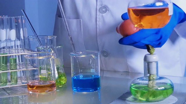 科学家持有烧瓶内的化学液体与实验室玻璃器皿和试管在化学实验室的背景，科学实验室研究和发展的概念