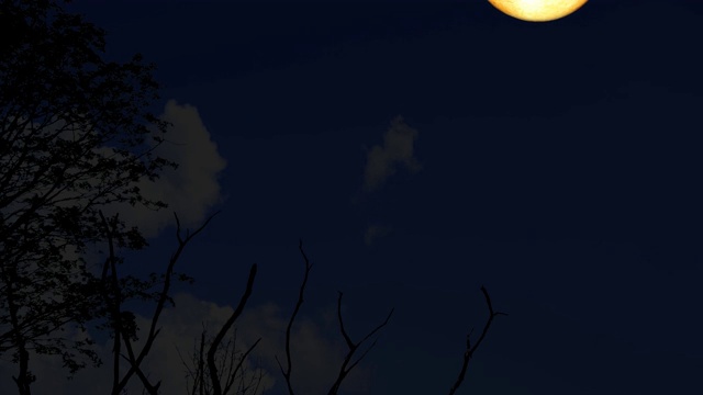 详情图-4k超级水色的月亮升起在剪影干燥的树枝在夜空1