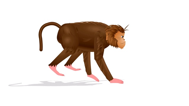 MonkeyRun循环动画