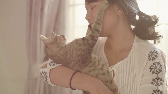 猫抱着她的女人。