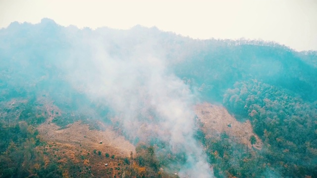 森林大火的烟雾。森林砍伐和气候危机。热带雨林火灾产生的有毒烟雾。航拍视频4 k