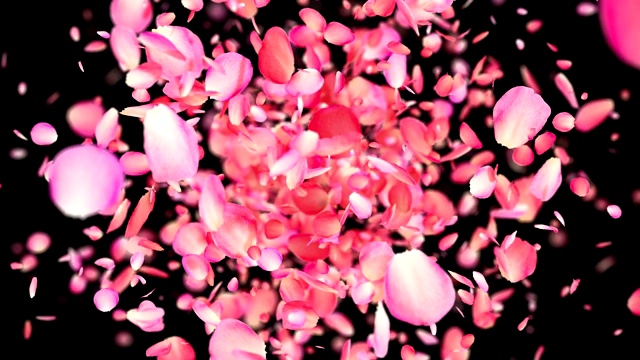 粉色玫瑰花瓣爆炸4K