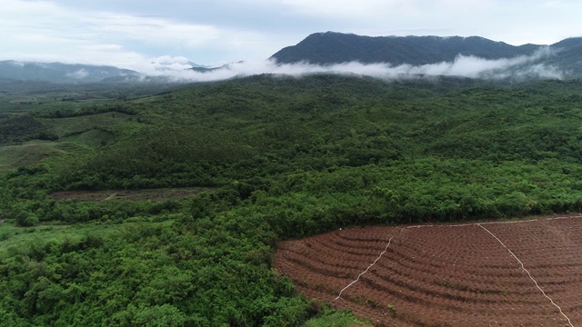 农场在中国海南