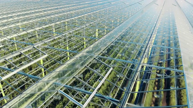 详情图-一个透明的绿化综合体内的植物俯视图