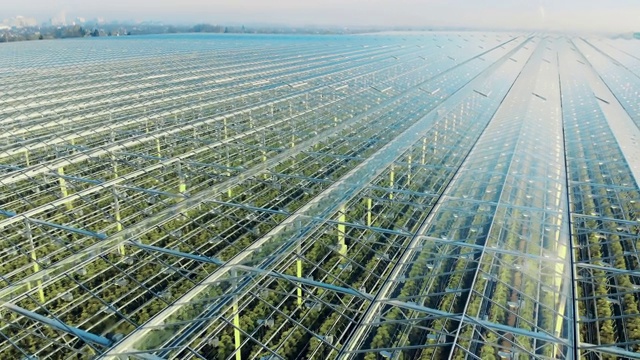 详情图-一个透明的绿化综合体内的植物俯视图